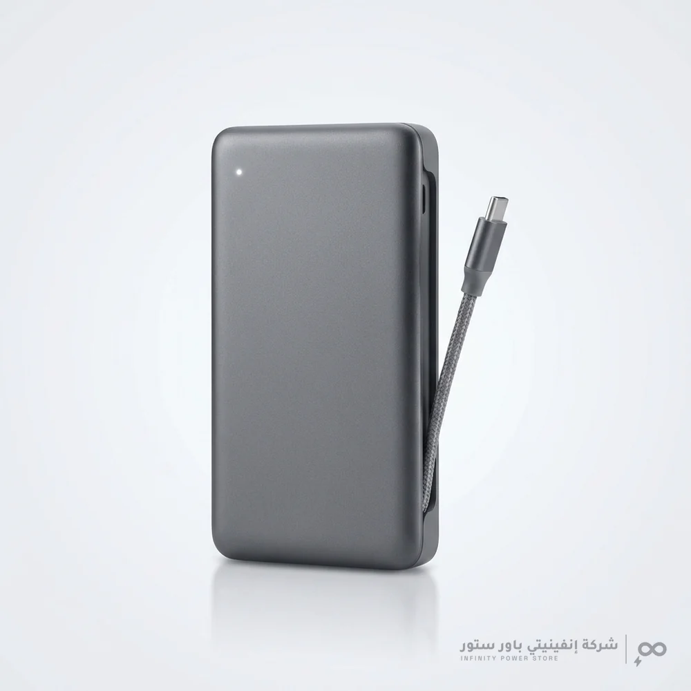Ravpower Power Bank 10000mAh 20W with Built-in Type-C Cable - Grey